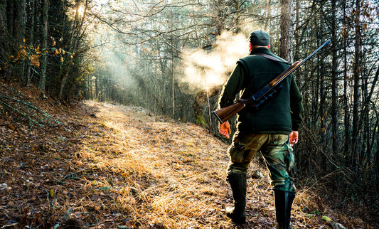 Die Jägerprüfung bestehen: Tipps & Tricks